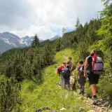 Familie genießt bergwandern mit kindern auf einem steinigen Pfad, umgeben von grünen Bäumen und schneebedeckten Bergen.