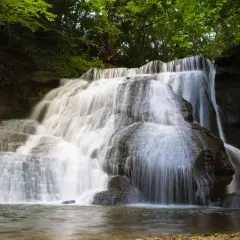 Ein üppiger, junger Wasserfall stürzt über moosbewachsene Felsen in ein ruhiges Becken.
