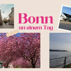 Bonn an einem Tag: Beethoven-Denkmal, Münster, Rheinpromenade und moderne Architektur – so viel kann man in Bonn machen!