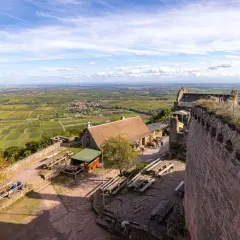 Blick von der Burg Madenburg auf Weinberge und Windräder.