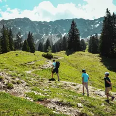 Familie wandert auf einem steinigen Pfad, dem Schmugglerpfad Oberjoch, durch grüne Almwiesen mit Nadelbäumen und schneebedeckten Bergen im Hintergrund.