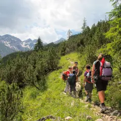 Familie genießt bergwandern mit kindern auf einem steinigen Pfad, umgeben von grünen Bäumen und schneebedeckten Bergen.