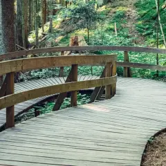 Ein geschwungener Holzsteg führt durch einen Wald. Ein naturatum erlebniswaldpfad lädt zum Entdecken ein.