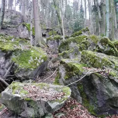 Moosbewachsene Felsen im Felsenmeer Murrhardt, umgeben von Bäumen und Laub.