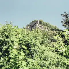 Ruine Rosenstein thront auf einem Felsen, umgeben von üppigem Grün und einem klaren Himmel.