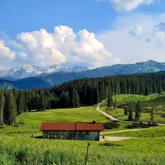 Ein idyllisches Bild vom Wandern auf der Winklmoosalm: Eine Hütte mit rotem Dach steht auf einer blühenden Almwiese, umgeben von Nadelwäldern und majestätischen Bergen.