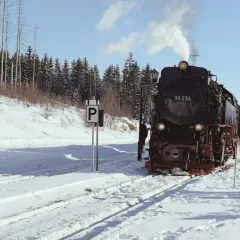 Dampflok 99 236 fährt durch verschneite Landschaft. Ein tolles Erlebnis für Wernigerode mit Kindern im Winter.