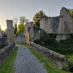 Ein Weg führt zur Burgruine Nippenburg. Steine und Grünpflanzen umgeben die alten Mauern im Abendlicht.