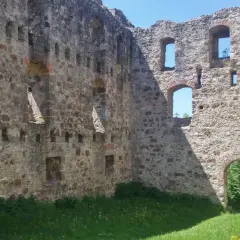 Die Burgruine Niederhaus mit ihren steinernen Mauern und leeren Fensterbögen, umgeben von grünem Gras und gelben Blumen.