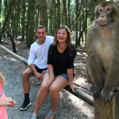 Familie am Affenberg Salem Spielplatz. Ein Affe sitzt auf einem Baumstamm, während ein Mädchen und ihre Eltern zuschauen.