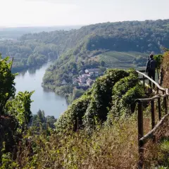 Wanderer auf einem Pfad mit Geländer, Blick auf ein Dorf am Fluss und Weinberge. Ein toller Aussichtspunkt Ludwigsburg.