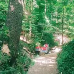 Ein Pfad führt durch den Wald zur Schelmenklinge Lorch, wo kleine Häuser mit roten Dächern versteckt sind.