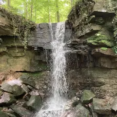 Ein kleiner Wasserfall stürzt über moosbewachsene Felsen in einem verwunschenen Wald. Ranken und grünes Laub umgeben die Szenerie.