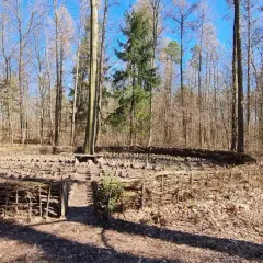 Ein kreisförmiges Kunstwerk aus Holz und Ästen im Wald, Teil des Walderlebnispfads Heilbronn.