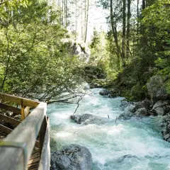 Ein Junge steht auf einem Holzsteg und blickt auf einen tosenden Bach im zauberwald berchtesgaden.