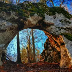 Das Heidentor bei Egesheim, ein Felsentor im Wald, mit Moos bewachsen und von Sonnenlicht durchflutet.