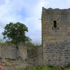 Die Ruine Kallenberg zeigt einen imposanten Turm und Mauerreste aus Stein, umgeben von Grün und einem bewölkten Himmel.