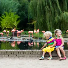 Zwei Kinder genießen einen Tagesausflug nach Sachsen-Anhalt mit Kindern und beobachten Flamingos am Wasser.
