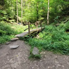 Holzbrücke über einen Bach im Wald, ein Pfad führt dorthin. Hier könnten die Feenspuren Welzheim beginnen.