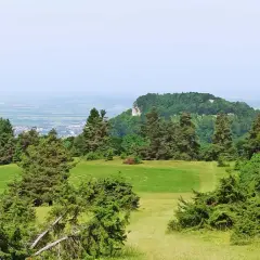 Grüne Wiesen und Nadelbäume umgeben ein Felsenmeer bei Albstadt. Im Hintergrund erstreckt sich eine Stadt unter einem blauen Himmel.