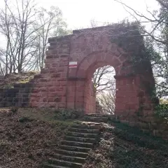 Die Ruinen der Burg Schlosseck mit einem steinernen Torbogen und einer Treppe, umgeben von Bäumen.