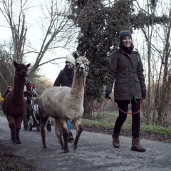 Eine Gruppe von Menschen und Alpakas genießt eine entspannte Alpaka Wanderung in Waiblingen.