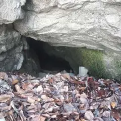Felsiger Eingang zur Teufelsklinge Heubach, bedeckt mit Laub und Moos.