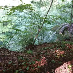 Ein Wasserfall stürzt in einem grünen Tal bei Reutlingen in die Tiefe. Ein schöner Ort zum Wandern.