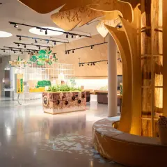 Ein interaktiver Ausstellungsbereich, der an eine Rapunzel-Welt erinnert, mit einem großen Holzbaum in der Mitte, Sitzgelegenheiten und informativen Tafeln.