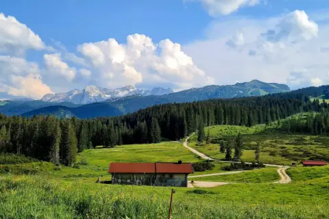 Ein idyllisches Bild vom Wandern auf der Winklmoosalm: Eine Hütte mit rotem Dach steht auf einer blühenden Almwiese, umgeben von Nadelwäldern und majestätischen Bergen.