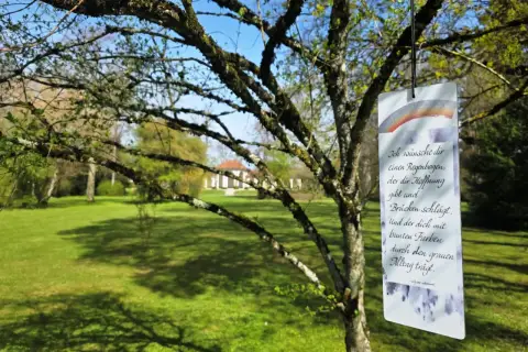 Ein Baum im Park von Bad Boll trägt ein Schild mit einem Gedicht über Hoffnung und bunte Farben im Alltag.