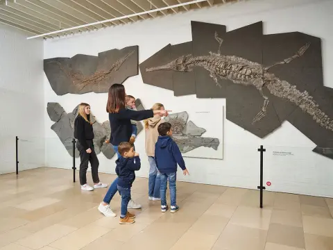 Dinopark Holzmaden - Dein Familienausflug ins Jurameer!