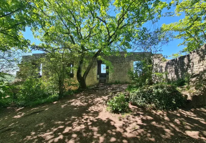 Ruinen des Rosenstein bei Heubach, umgeben von üppigem Grün und beschattet von einem Baum.