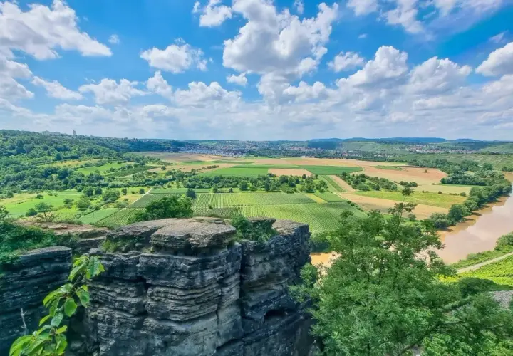 Blick vom felsengarten hessigheim über Weinberge und Felder zum Neckar. Blaue Himmel mit weißen Wolken.