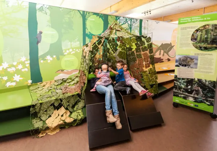 Familie erkundet im Naturparkzentrum Zaberfeld eine Wald-Ausstellung mit interaktiver Hütte.