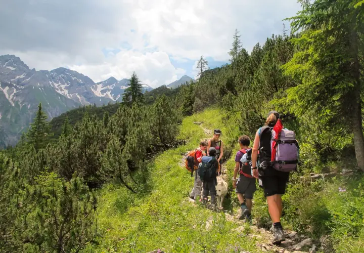 Familie genießt bergwandern mit kindern auf einem steinigen Pfad, umgeben von grünen Bäumen und schneebedeckten Bergen.