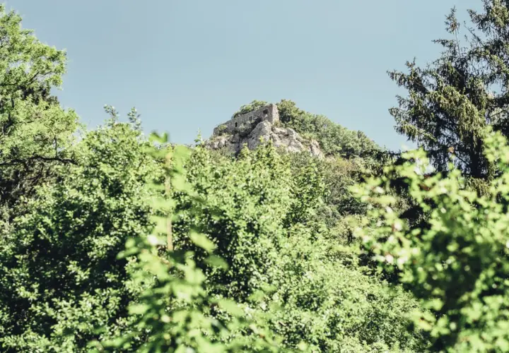 Ruine Rosenstein thront auf einem Felsen, umgeben von üppigem Grün und einem klaren Himmel.