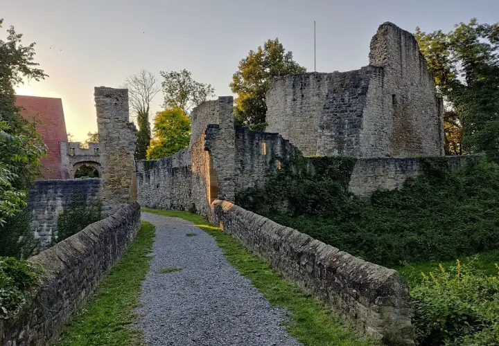 Ein Weg führt zur Burgruine Nippenburg. Steine und Grünpflanzen umgeben die alten Mauern im Abendlicht.