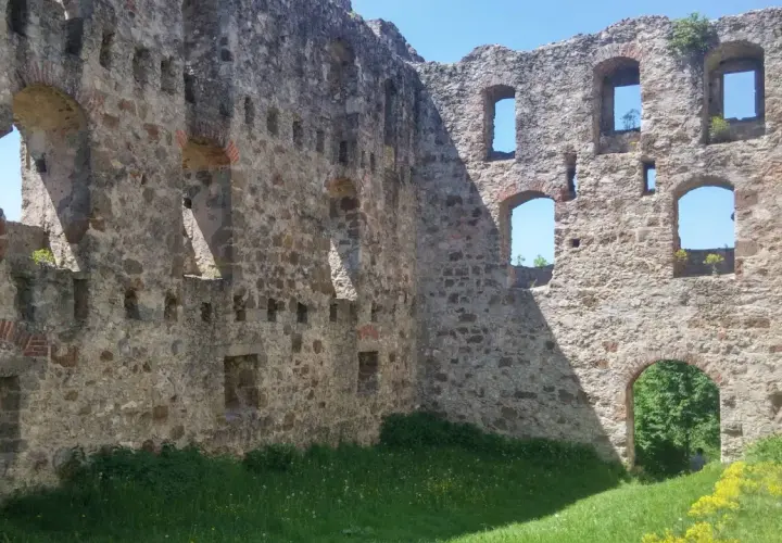 Die Burgruine Niederhaus mit ihren steinernen Mauern und leeren Fensterbögen, umgeben von grünem Gras und gelben Blumen.
