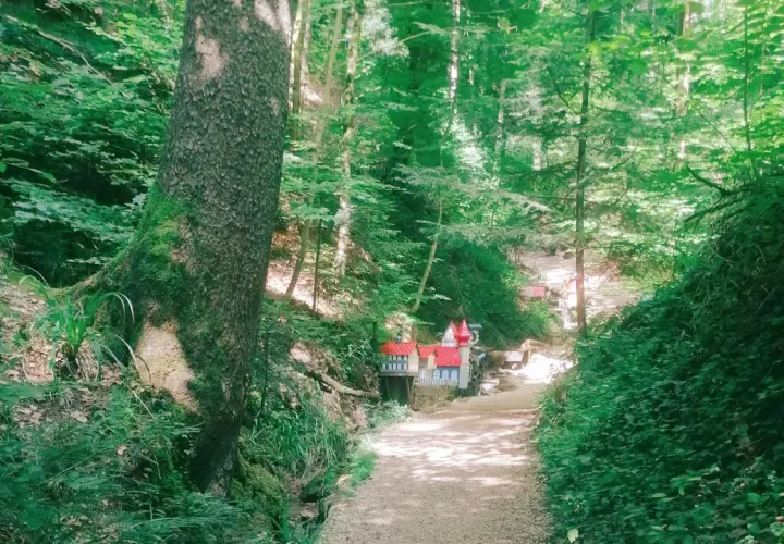 Ein Pfad führt durch den Wald zur Schelmenklinge Lorch, wo kleine Häuser mit roten Dächern versteckt sind.
