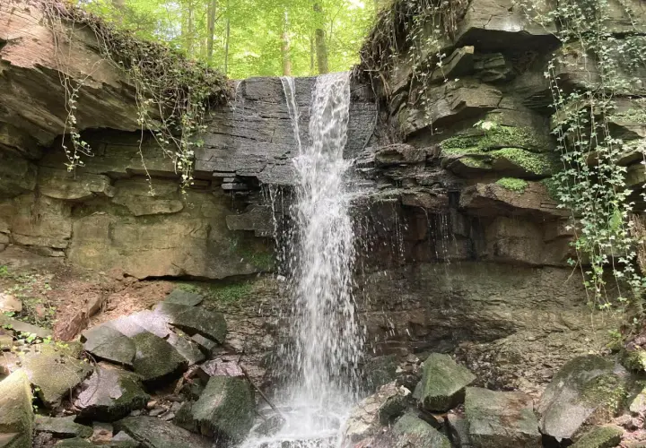 Ein kleiner Wasserfall stürzt über moosbewachsene Felsen in einem verwunschenen Wald. Ranken und grünes Laub umgeben die Szenerie.