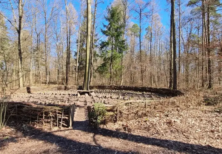 Ein kreisförmiges Kunstwerk aus Holz und Ästen im Wald, Teil des Walderlebnispfads Heilbronn.