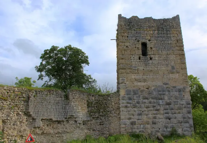 Die Ruine Kallenberg zeigt einen imposanten Turm und Mauerreste aus Stein, umgeben von Grün und einem bewölkten Himmel.