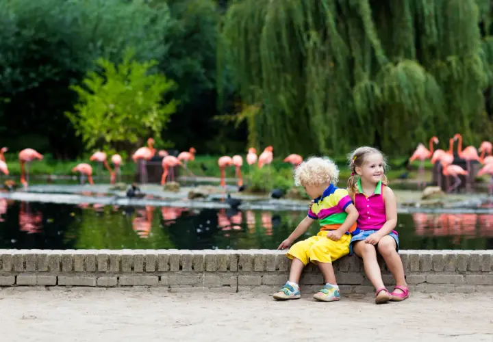 Zwei Kinder genießen einen Tagesausflug nach Sachsen-Anhalt mit Kindern und beobachten Flamingos am Wasser.