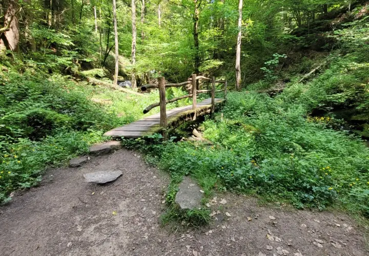 Holzbrücke über einen Bach im Wald, ein Pfad führt dorthin. Hier könnten die Feenspuren Welzheim beginnen.