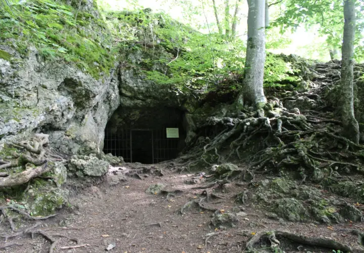 Ein finsteres Loch, eine Höhle mit Gittertor, umgeben von moosbewachsenen Felsen und verschlungenen Baumwurzeln im Wald.