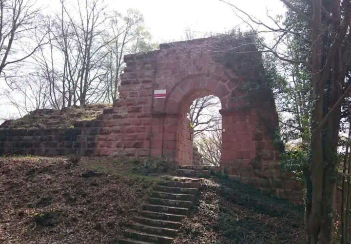 Die Ruinen der Burg Schlosseck mit einem steinernen Torbogen und einer Treppe, umgeben von Bäumen.