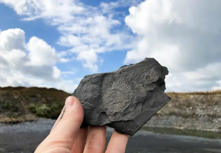 Ein Fossil, gefunden im Schiefersteinbruch Kromer, wird gegen einen dramatischen Himmel gehalten.