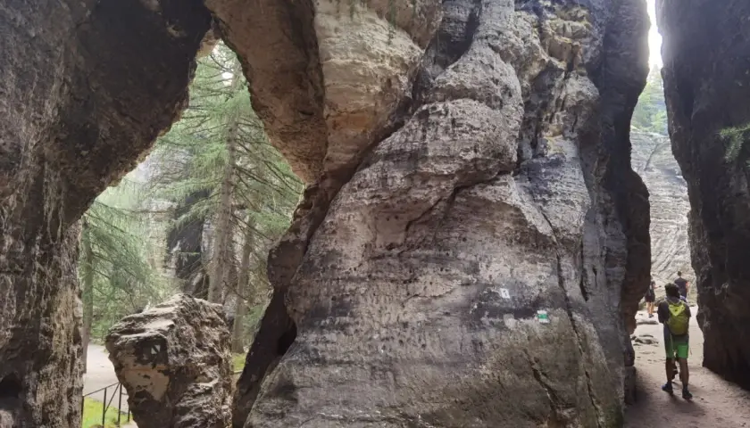 Ein schmaler Pfad führt durch das Felsenlabyrinth Blaubeuren, vorbei an imposanten Felsformationen und Bäumen.