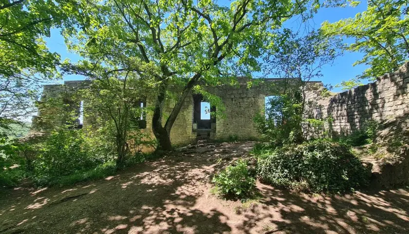 Ruinen des Rosenstein bei Heubach, umgeben von üppigem Grün und beschattet von einem Baum.